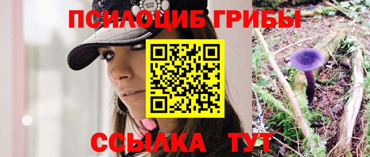 Галлюциногенные грибы Cubensis Асино
